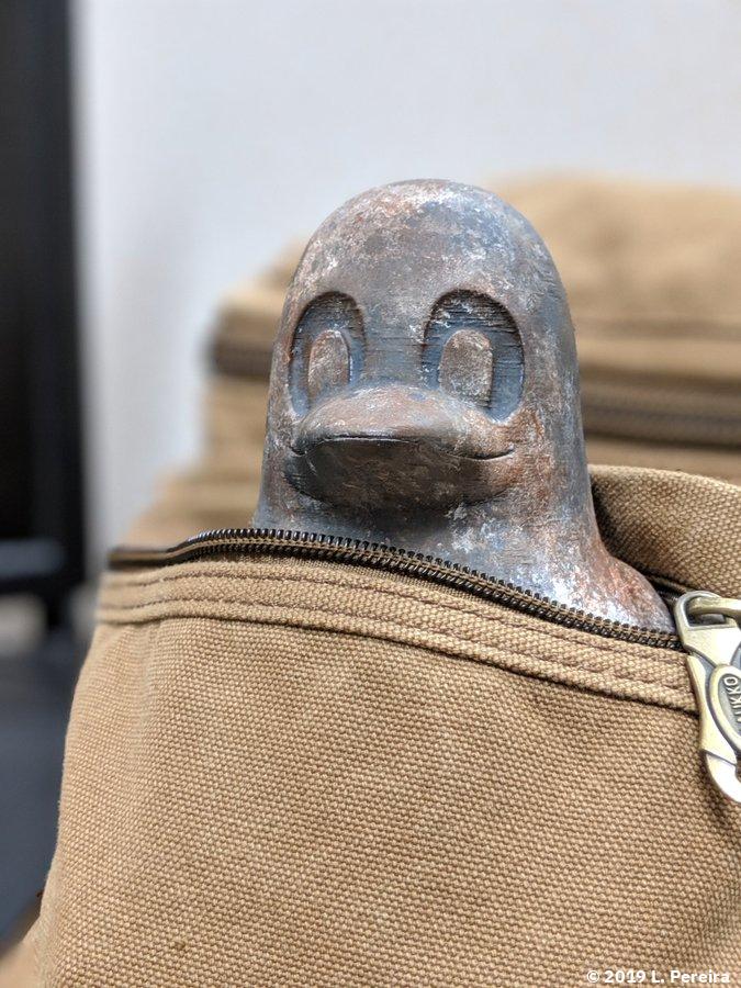 penguin-in-bag.jpg