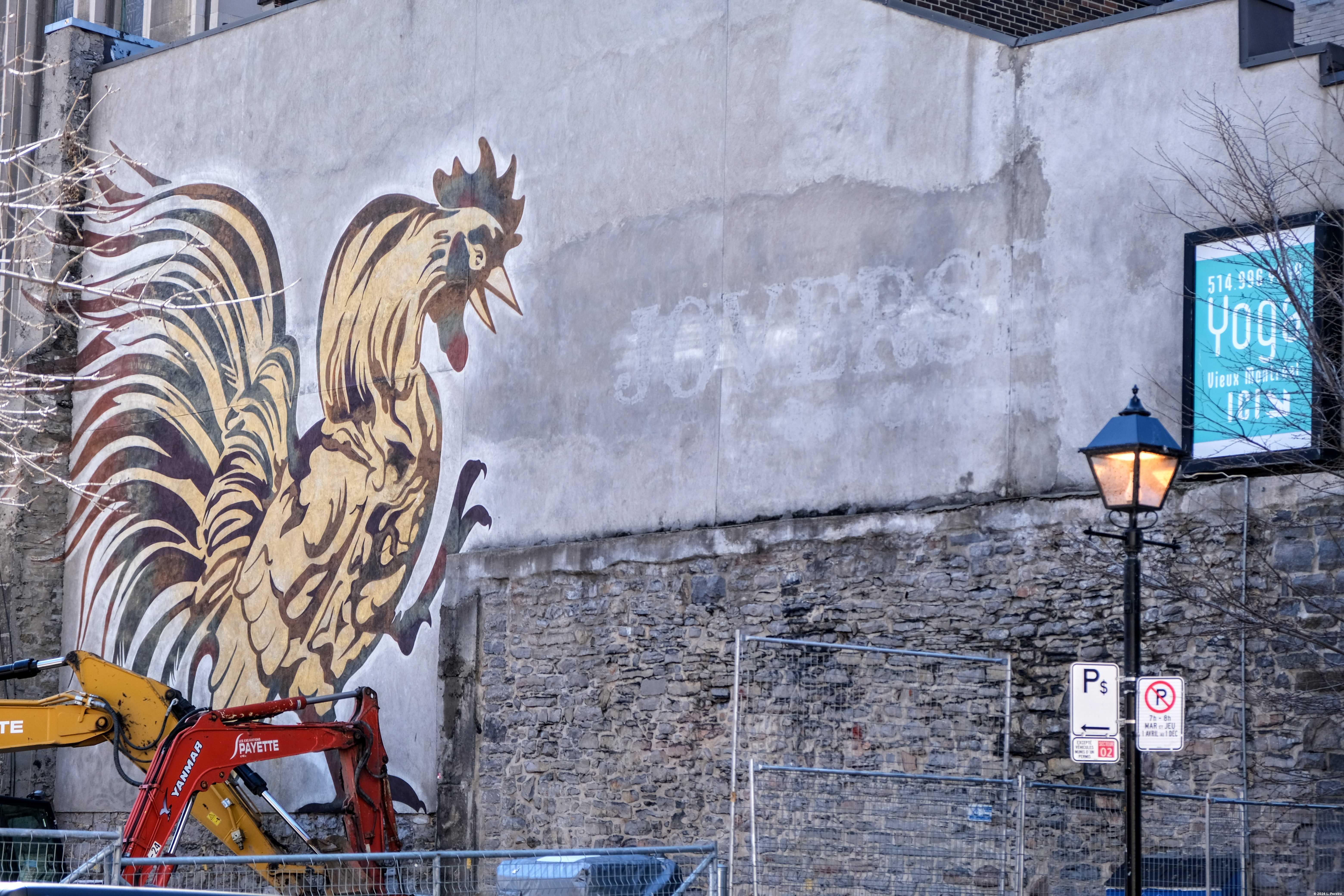 montreal-rooster-mural.jpg